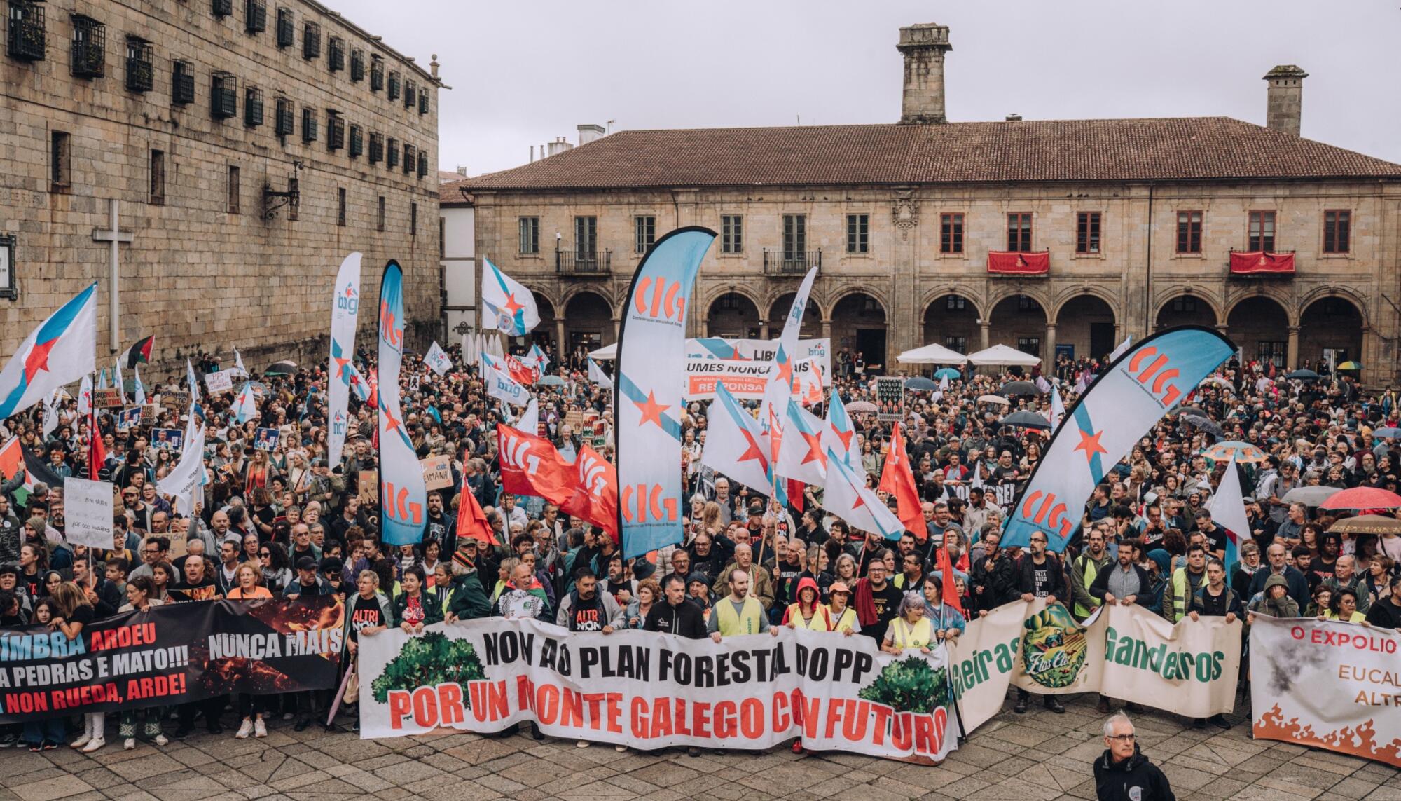 Mani incendios 2025 set